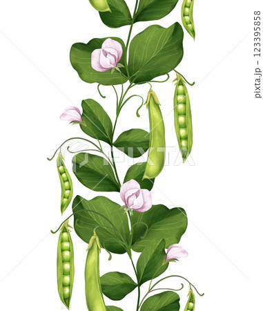 Green peas seamless border with pods and leaves. Hand-drawn illustration Green peas seamless border with pods and leaves. Hand-drawn illustration 123395858