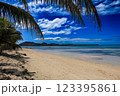 ヤシの木と青い海　リゾート 123395861