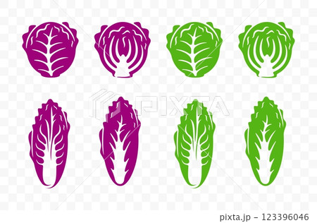 Chinese cabbage, red cabbage, cole and cauliflower, graphic design. White cabbage, red kubis merah, vegetables and food, vector design and illustration 123396046