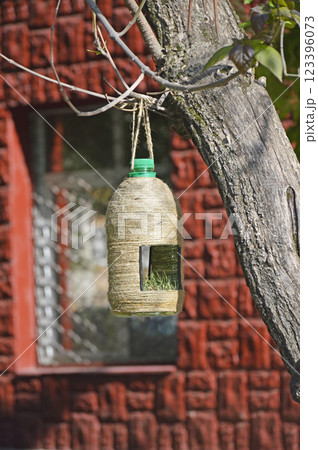 bird feeder made from a large plastic bottle in a city park bird feeder made from a large plastic bottle in a city park 123396073