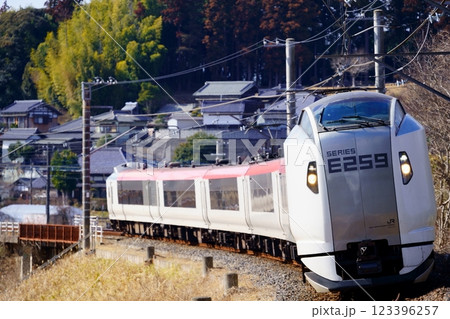 銚子への旅路、特急しおさいが走る総武本線 123396257