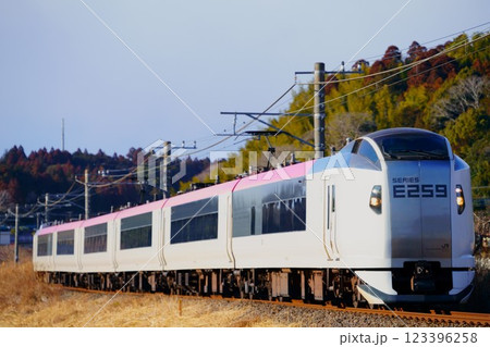 日向～成東間を疾走するE259系特急しおさい 123396258