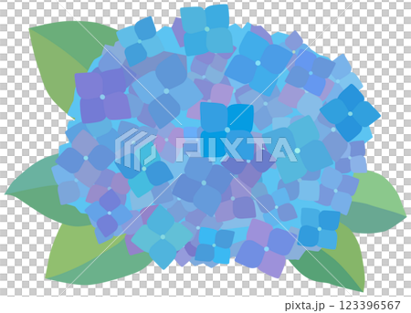 Blue hydrangea illustration vector material Blue hydrangea illustration vector material 123396567