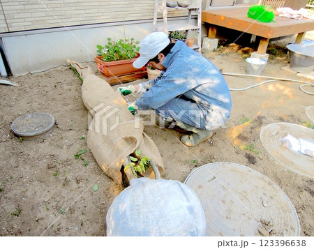 庭木を植える作業 庭木を植える作業 123396638