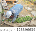 植木を植える準備 123396639