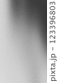Abstract black and white grainy texture with gradients and shadows 123396803