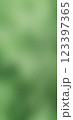 Abstract green gradient texture background with soft blurred effect 123397365