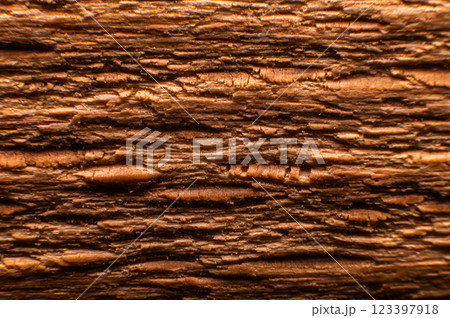 Wood structure. Cross-section of a log showing the pattern and texture created over the years 123397918