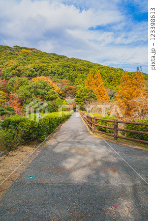 田原市にある滝頭公園の秋の紅葉と山の風景(愛知県) 123398613