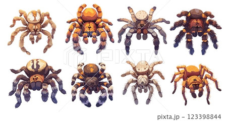Tarantula set. Cartoon hairy spider venom predator insect, poisonous scary arachnid animal arachnophobia vector illustration Tarantula set. Cartoon hairy spider venom predator insect, poisonous scary arachnid animal arachnophobia vector illustration 123398844