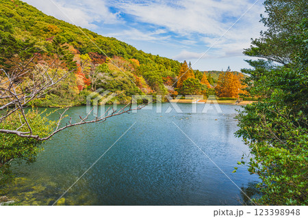 田原市にある滝頭公園の秋の紅葉した山と池の風景(愛知県) 123398948