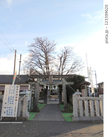 熊野宮 小平市 熊野宮 小平市 123399020