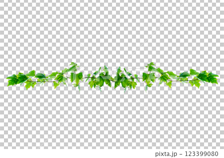 vine frame leaf vine circle Isolate on transparent background PNG file 123399080