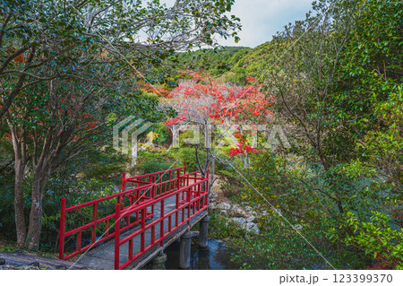 田原市にある滝頭公園の秋の紅葉と赤い橋の風景(愛知県) 123399370
