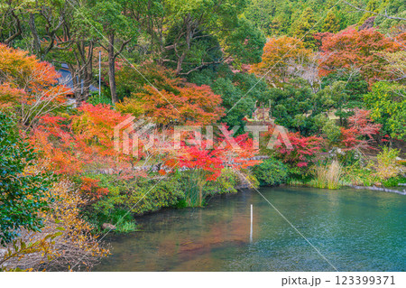 田原市にある滝頭公園の秋の紅葉した木々と池の風景(愛知県) 123399371