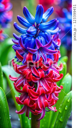 the background image of the colorful flowers 123399451