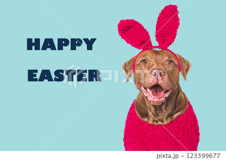 Happy Easter. Cute dog and congratulatory inscription Happy Easter. Cute dog and congratulatory inscription 123399677