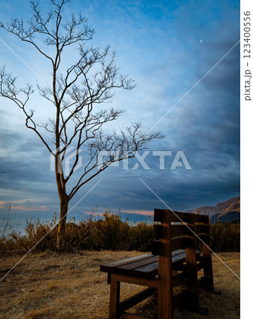 田子山展望所の朝の景色（阿蘇市そらふねの桟橋） 123400556