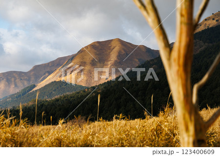 田子山展望所の朝の景色（阿蘇市そらふねの桟橋） 123400609