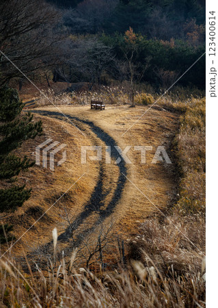 田子山展望所の朝の景色（阿蘇市そらふねの桟橋） 123400614