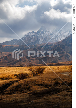 冬の阿蘇くじゅう国立公園 冬の阿蘇くじゅう国立公園 123400923