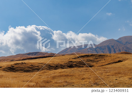 冬の阿蘇くじゅう国立公園 123400931