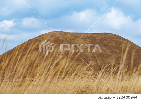 一面枯草色の冬の米塚下園地 一面枯草色の冬の米塚下園地 123400944