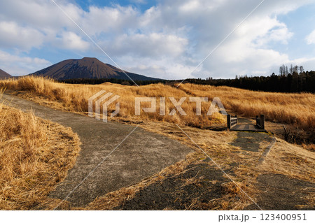 一面枯草色の冬の米塚下園地 一面枯草色の冬の米塚下園地 123400951