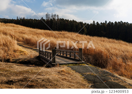 一面枯草色の冬の米塚下園地 123400953