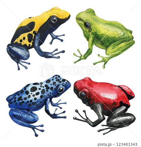 Set exotic colorful poison dart frogs, tree frogs watercolor illustration isolated. Tropical wildlife amphibians clipart Set exotic colorful poison dart frogs, tree frogs watercolor illustration isolated. Tropical wildlife amphibians clipart 123401343