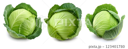 Young fresh cabbage set isolated on white background. Package design element with clipping path Young fresh cabbage set isolated on white background. Package design element with clipping path 123401780
