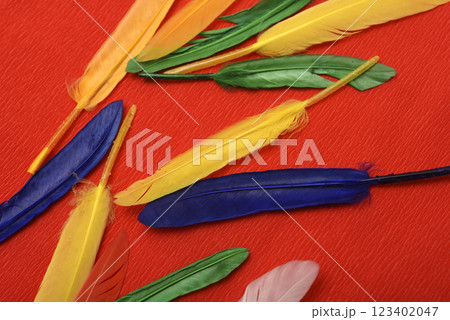 Colorful feathers on a red background. Decorative feathers. 123402047
