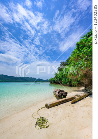 白い砂浜と青い空が広がる川平湾のビーチ 白い砂浜と青い空 白い砂浜と青い空が広がる川平湾のビーチ 白い砂浜と青い空 123402285