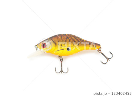 Nikolaev, Ukraine - 08 july, 2022: Fishing lure isolated on white. Wobbler on white. Active hobby recreation concept. Nikolaev, Ukraine - 08 july, 2022: Fishing lure isolated on white. Wobbler on white. Active hobby recreation concept. 123402453