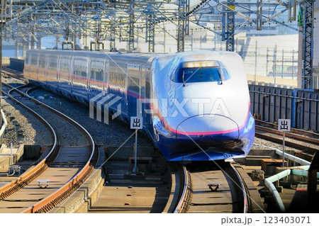 陸奥路へ向けて…　東北新幹線・大宮駅に入線する『E2系』新幹線 123403071