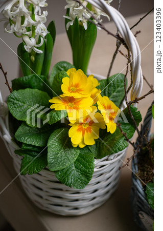 This charming flower basket showcases beautiful yellow blooms along with vibrant greenery 123403396