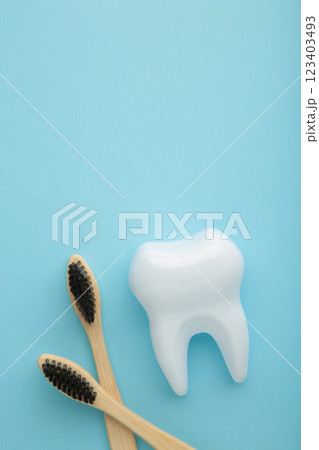White healthy tooth model and toothbrushes on blue background. Dental care and healthcare concept. White healthy tooth model and toothbrushes on blue background. Dental care and healthcare concept. 123403493