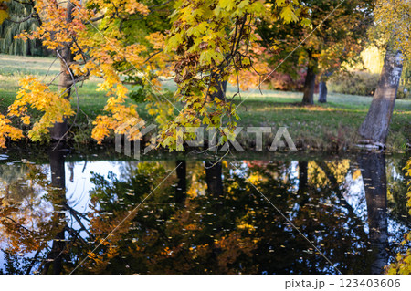 A serene forest scene with tall green trees by a calm lake, reflecting the blue sky with a few white clouds. The vibrant foliage suggests the early autumn season, full of natural beauty. 123403606