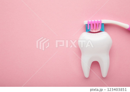 White healthy tooth model and dental toothbrush on pink background with copy space. Dental care and healthcare concept. White healthy tooth model and dental toothbrush on pink background with copy space. Dental care and healthcare concept. 123403851