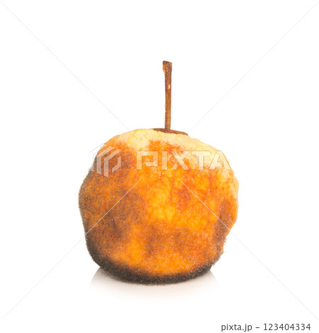 apple peel dry isolated on white background apple peel dry isolated on white background 123404334