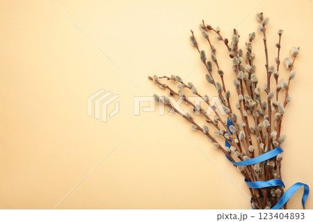 Bouquets of pussy willow branches with blue ribbon on blue background. Space for text 123404893
