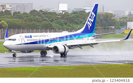 ANA737-800伊丹アブローチ ANA737-800伊丹アブローチ 123404918