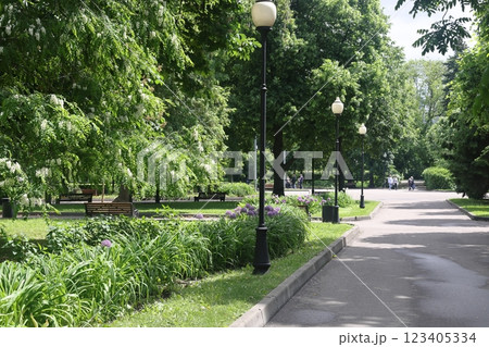 summer park. shady alleys, park of culture and rest summer park. shady alleys, park of culture and rest 123405334