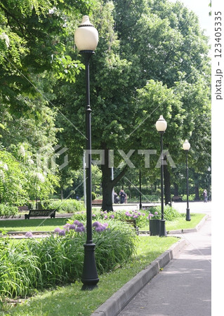 summer park. shady alleys, park of culture and rest 123405335