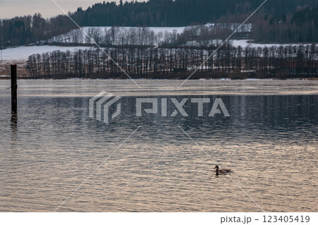 Winter mood on the frozen Lipno Dam. Czech Republic Winter mood on the frozen Lipno Dam. Czech Republic 123405419