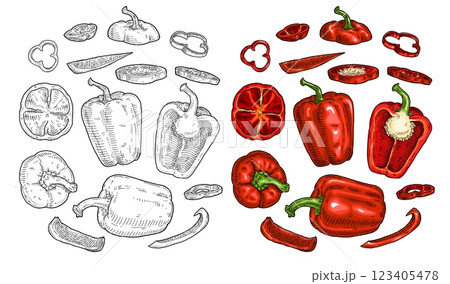 Sweet bell pepper different slices. Vintage engraving black illustration. 123405478