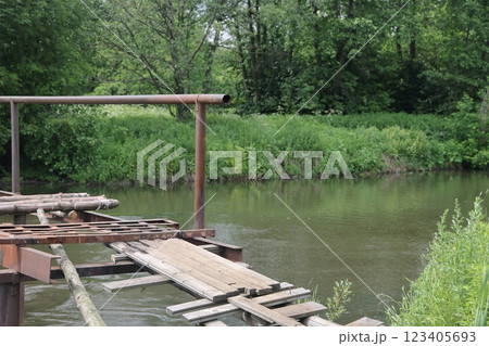 the banks of a small river are overgrown with grass and bushes. 123405693