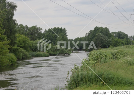 the banks of a small river are overgrown with grass and bushes. 123405705