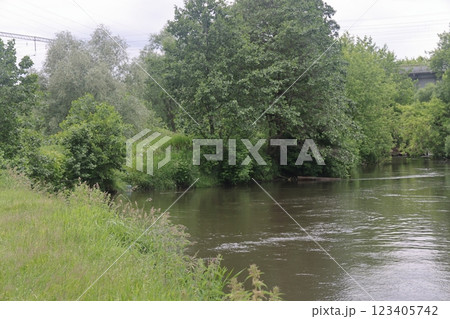 the banks of a small river are overgrown with grass and bushes. the banks of a small river are overgrown with grass and bushes. 123405742