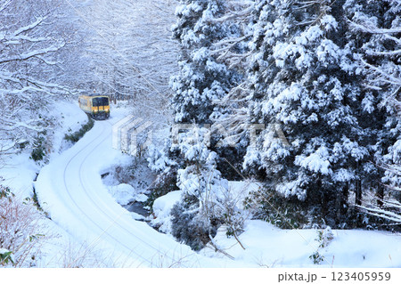 積雪期にも運休せずに頑張っていた頃の木次線 123405959